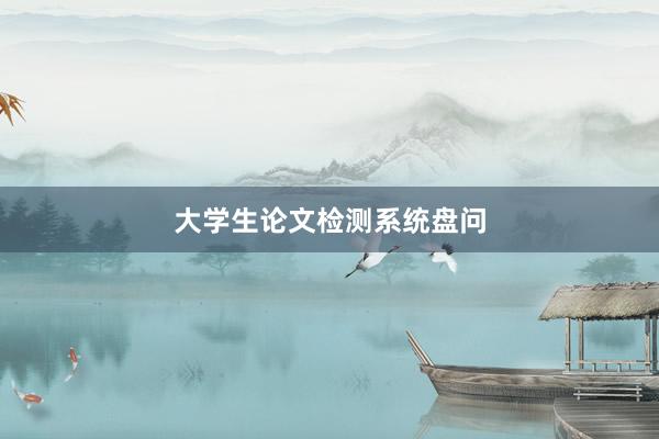 大学生论文检测系统盘问