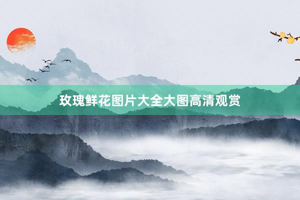 玫瑰鲜花图片大全大图高清观赏