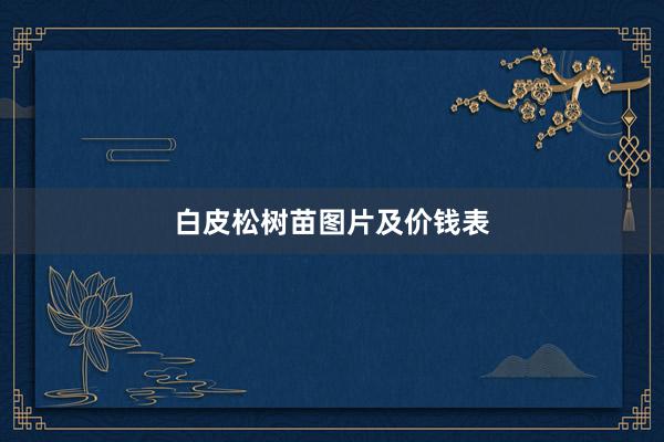 白皮松树苗图片及价钱表