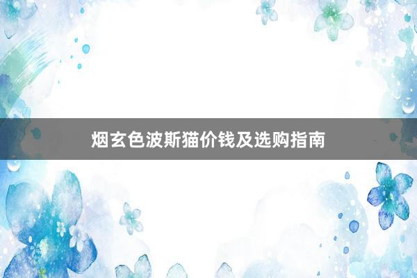 烟玄色波斯猫价钱及选购指南