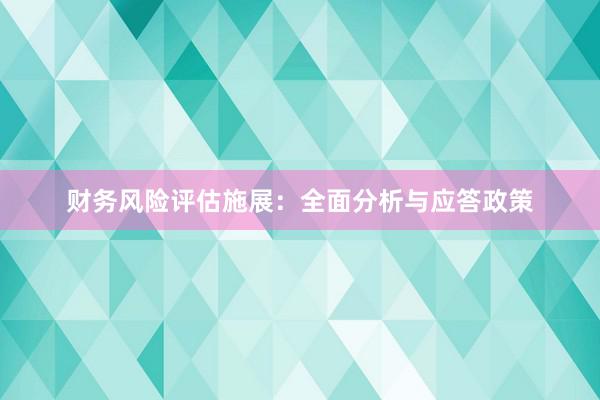 财务风险评估施展：全面分析与应答政策